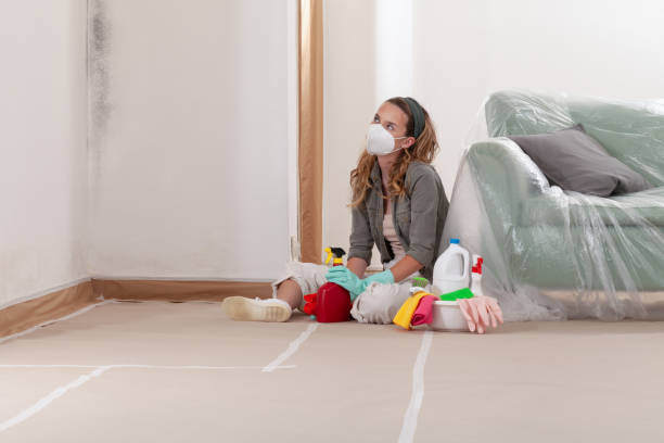 Reliable Mold Inspection contractor in Horsham, PA by WQB Mold Removal